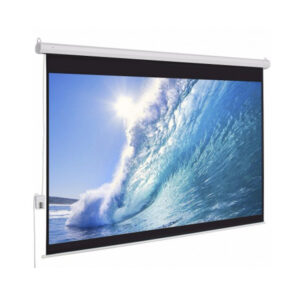 Màn chiếu điện Dalite P250ES (250Inch/ 4m6 x 4m6)