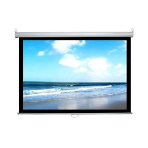 Màn chiếu Treo Dalite P84WS (120Inch/ 2m13 x 2m13)